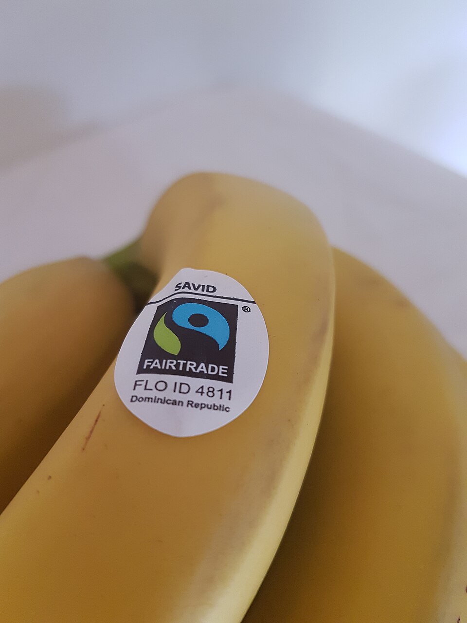 노란 바나나 다발에 파란색·초록색 공정 무역(FAIRTRADE) 인증 스티커가 붙어 있다.